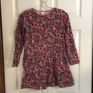 Crewcuts Girls Red and Green Floral Dress
